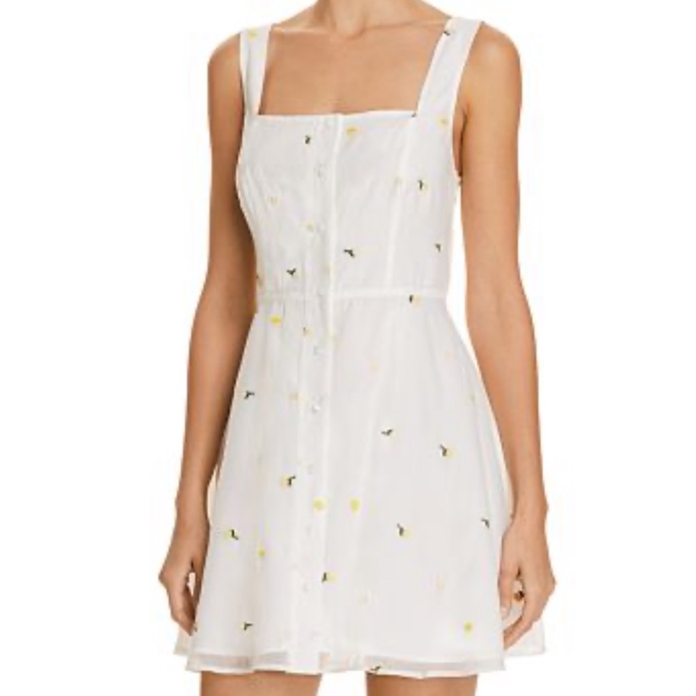 The East Order Emilia Embroidered Mini Dress  L
